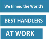 Text: We filmed the world's best handlers at work